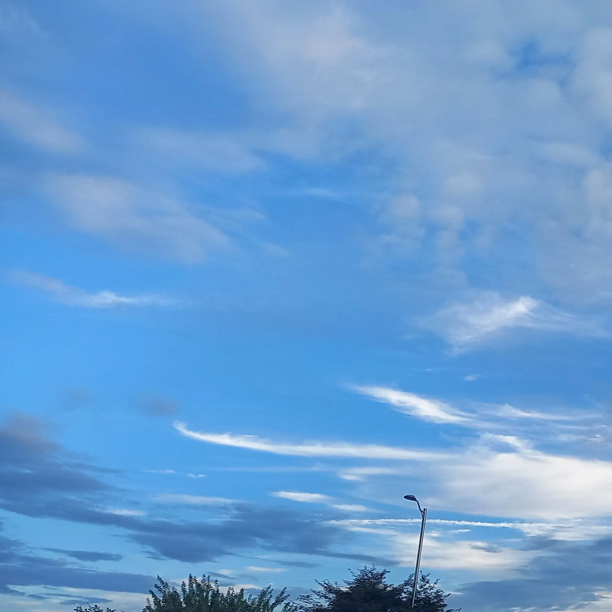 LeanerHawk2183의 인성파탄1#  (개인용)