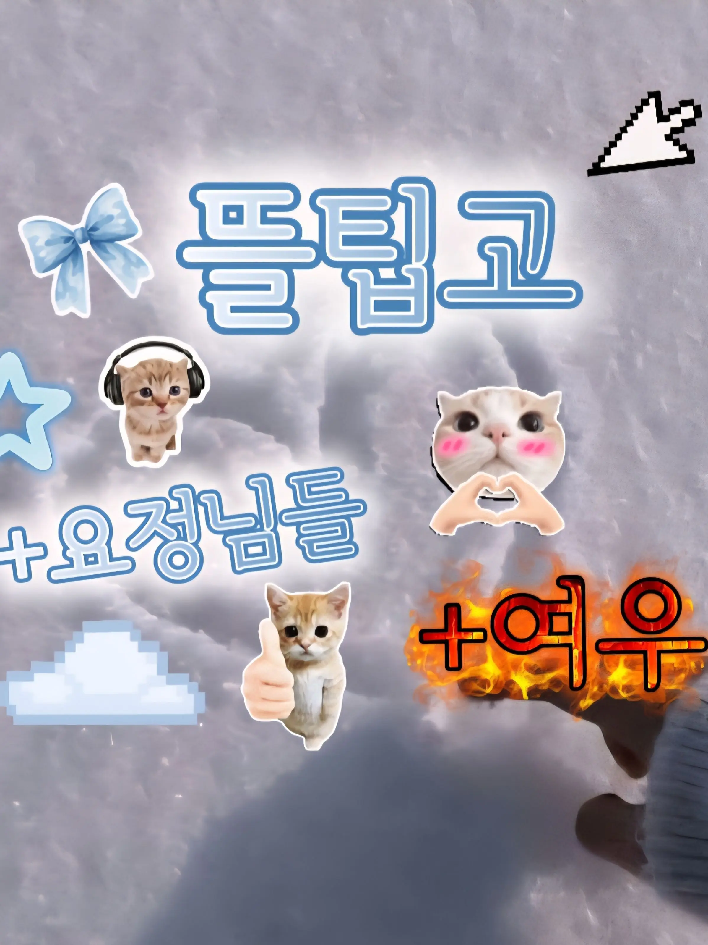 TacitBed4433의 뜰팁고