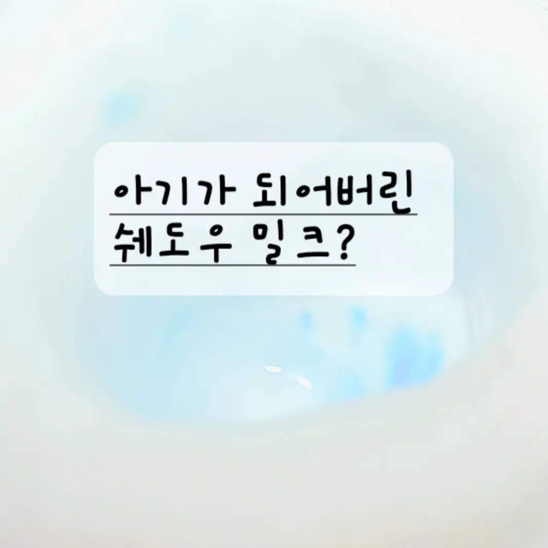 GrayShow4943의 아기가 되어버린 쉐밀?