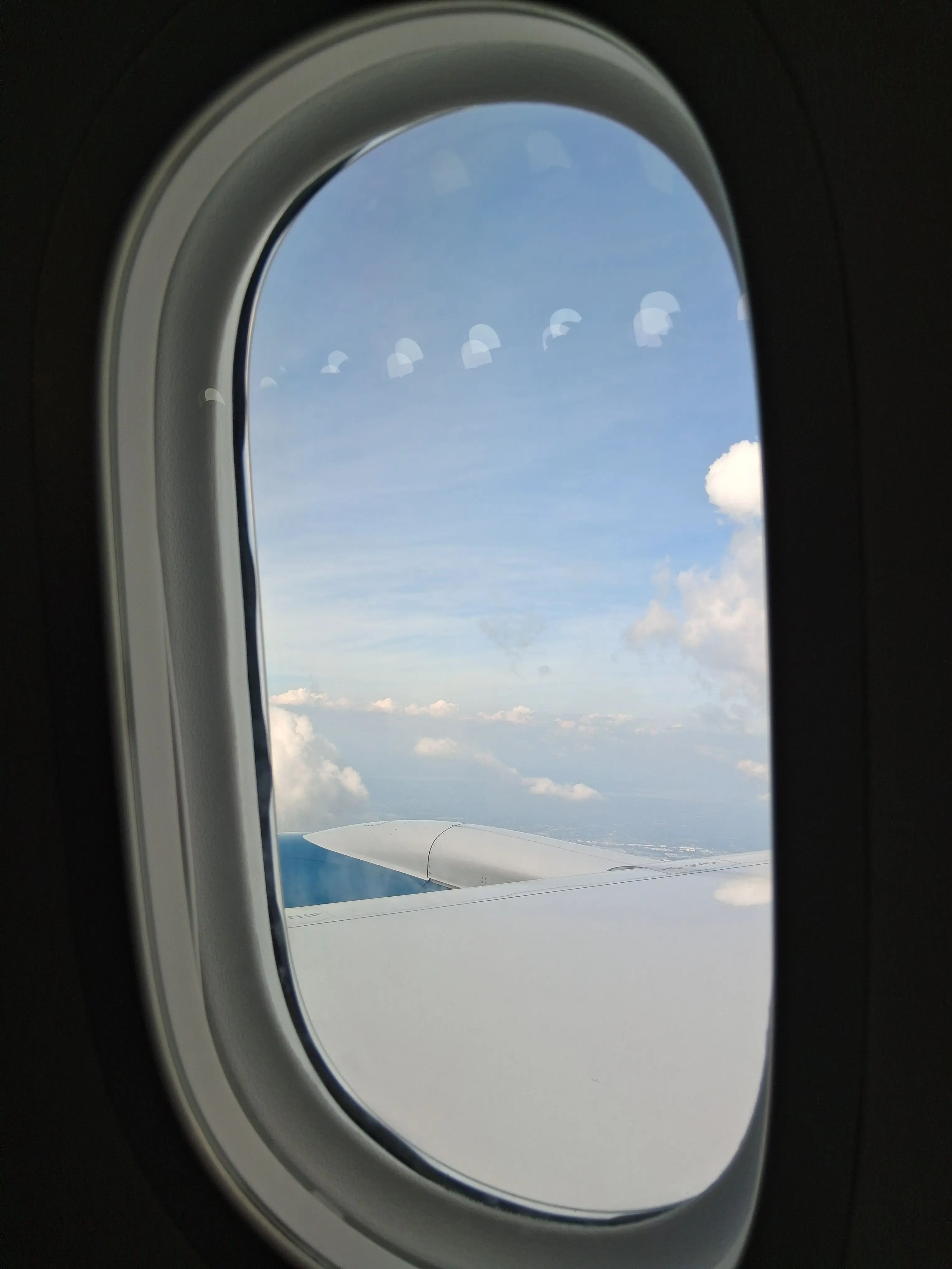 FleshyGoat1458의 뜰팁 한림예고?!?!✨