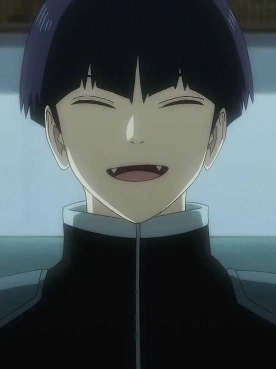 EvilDebit2862의 호시나 소우시로