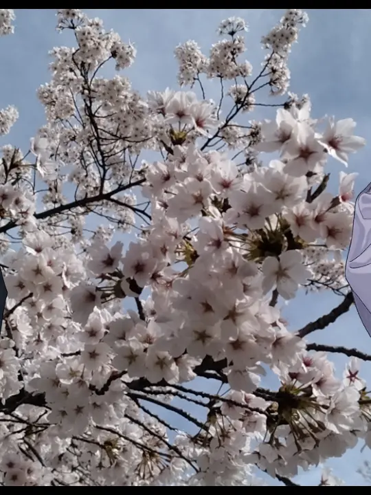 MagicBarn7968의 よろしくね