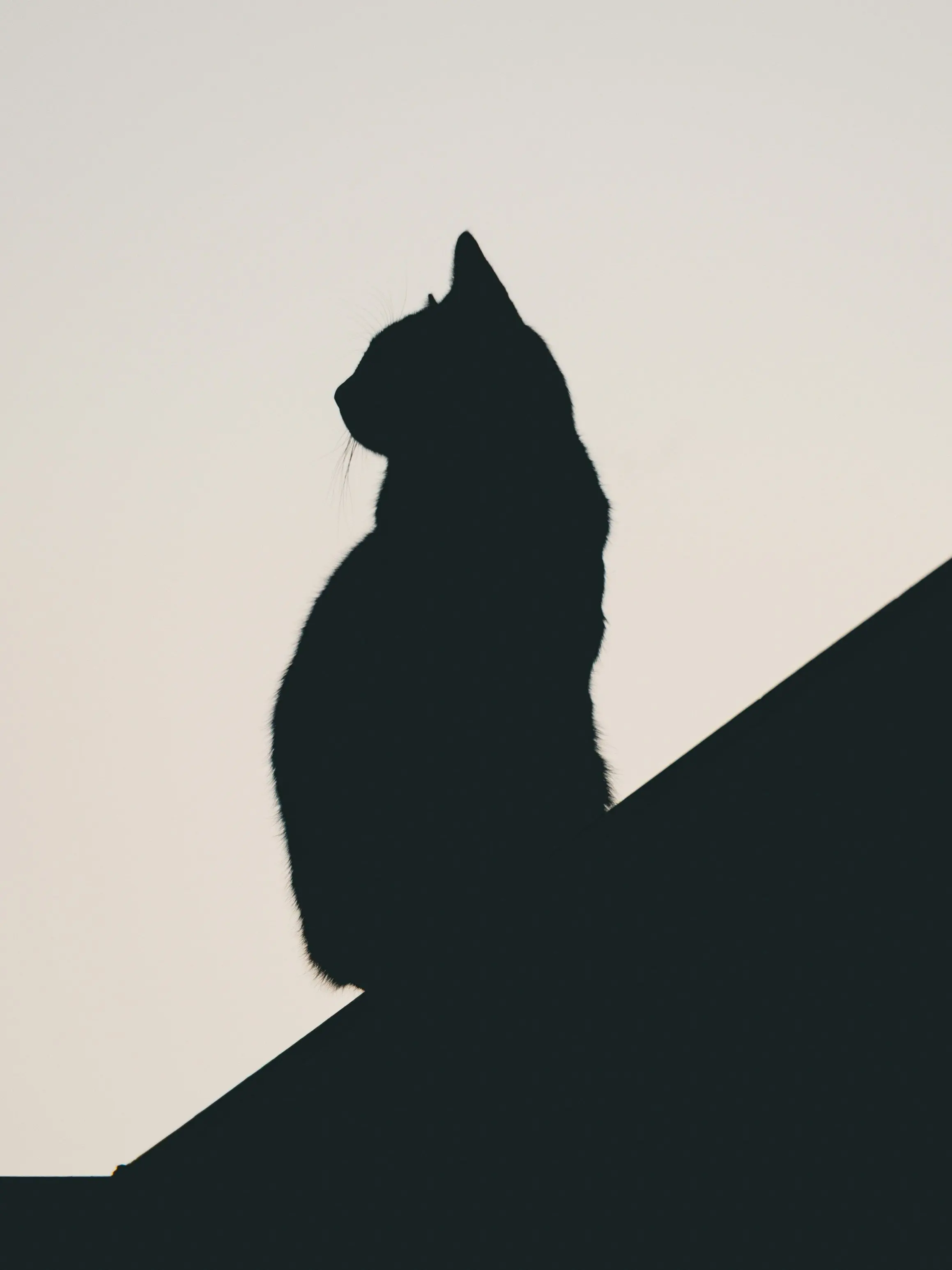 StockyKagu6844의 한지혁