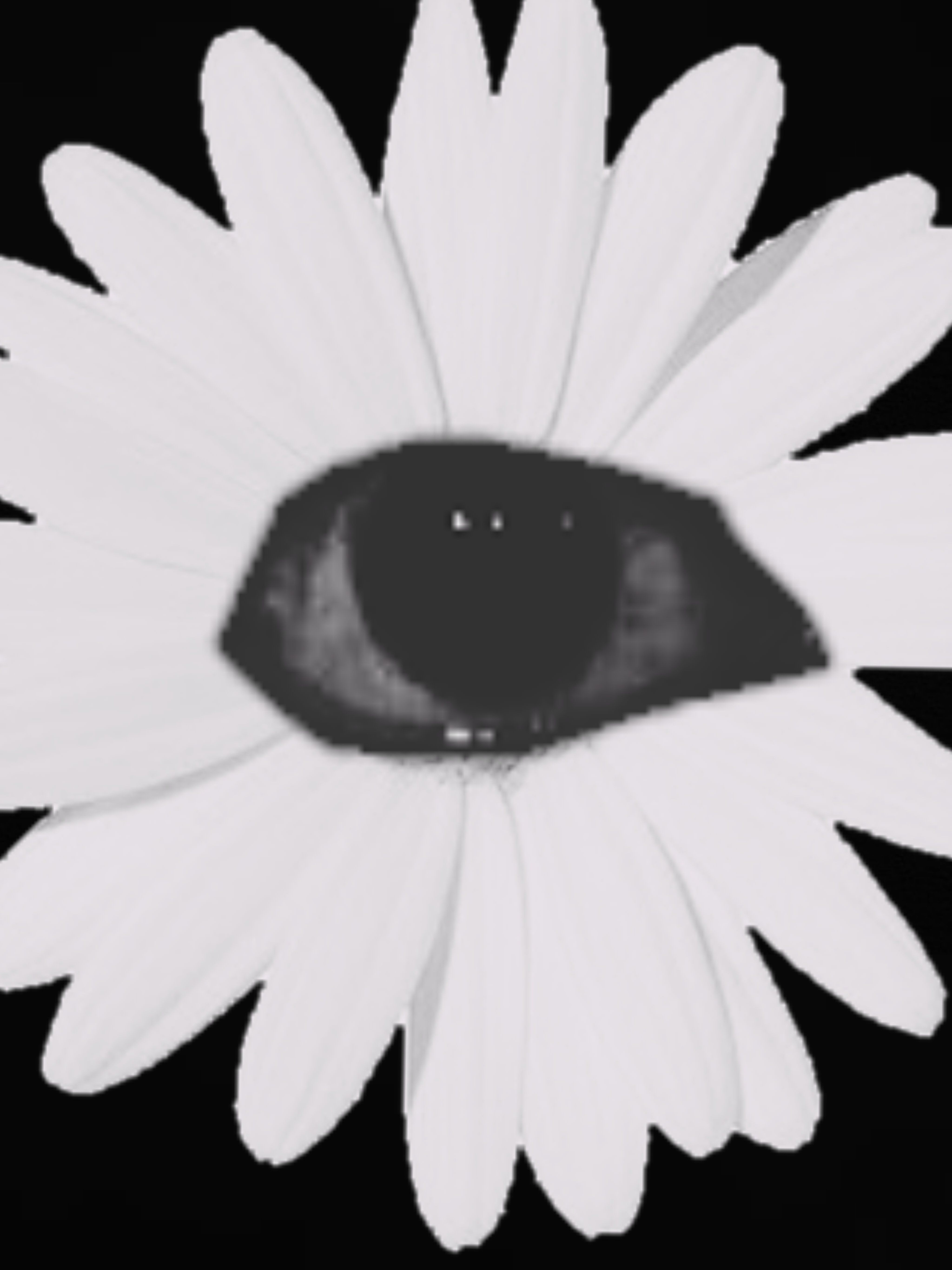 ҉f҉҉l҉҉o҉҉w҉҉e҉҉r҉ 대표 이미지
