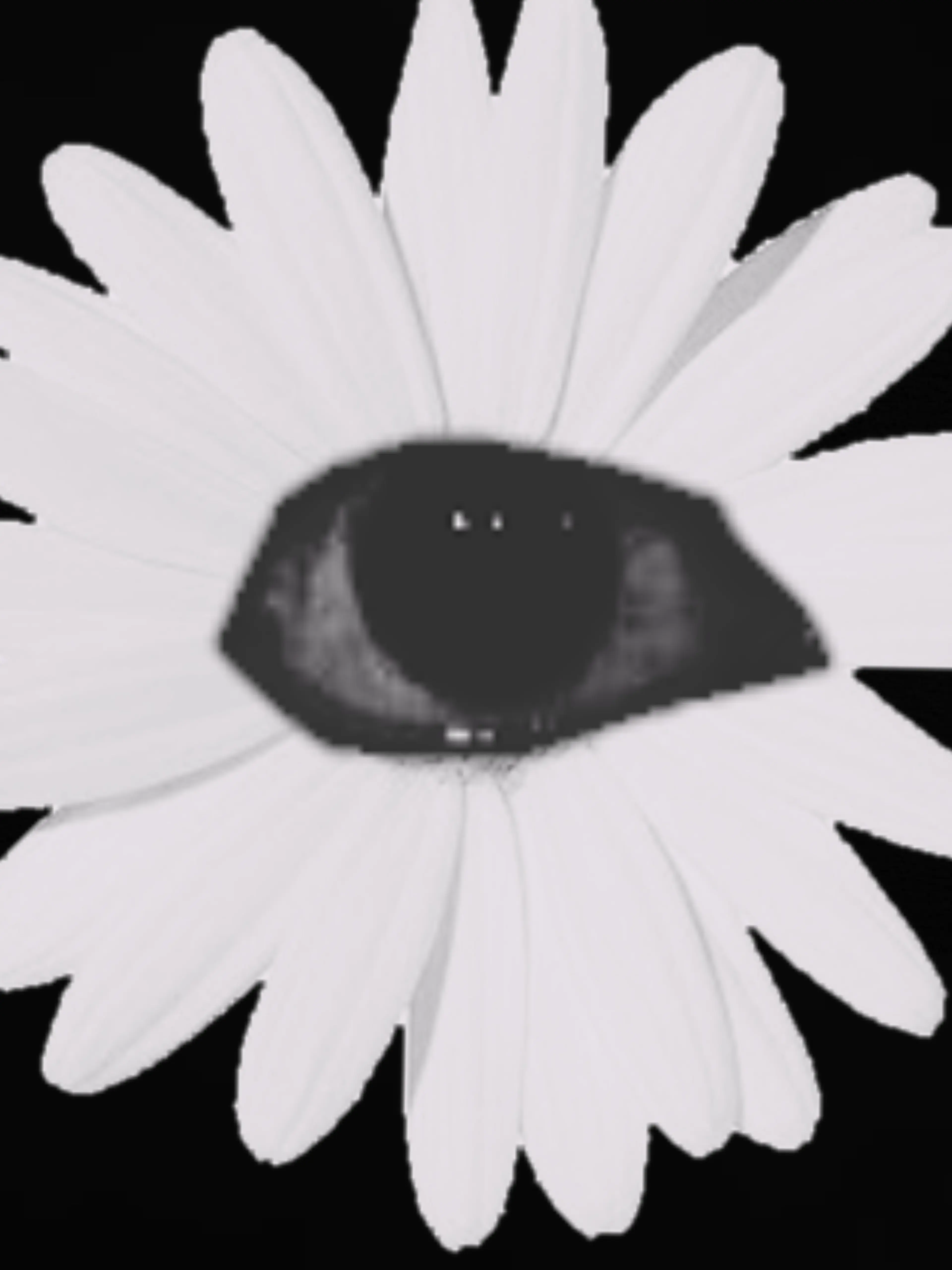 -Banana-의 ҉f҉҉l҉҉o҉҉w҉҉e҉҉r҉