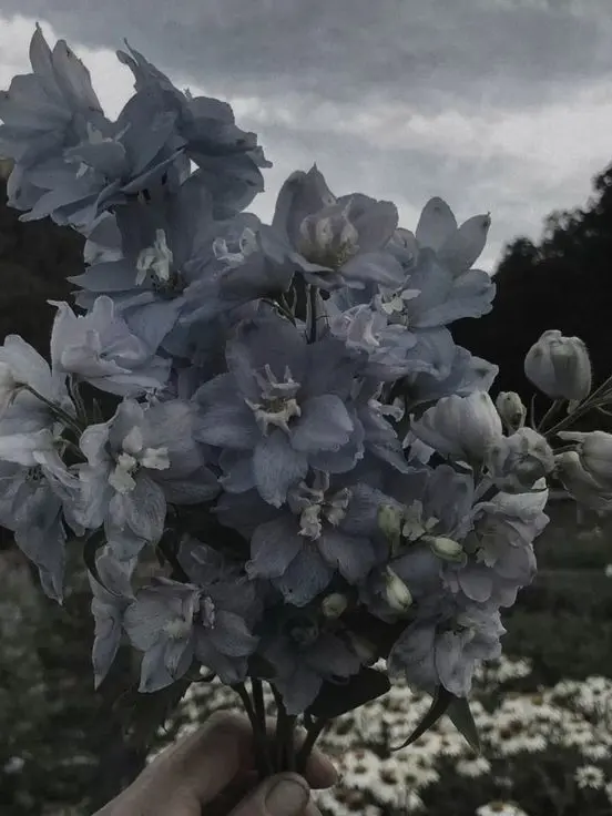 dx.ye1_의 꽥꽥탐험대+와르르패밀리 수학여행!!!