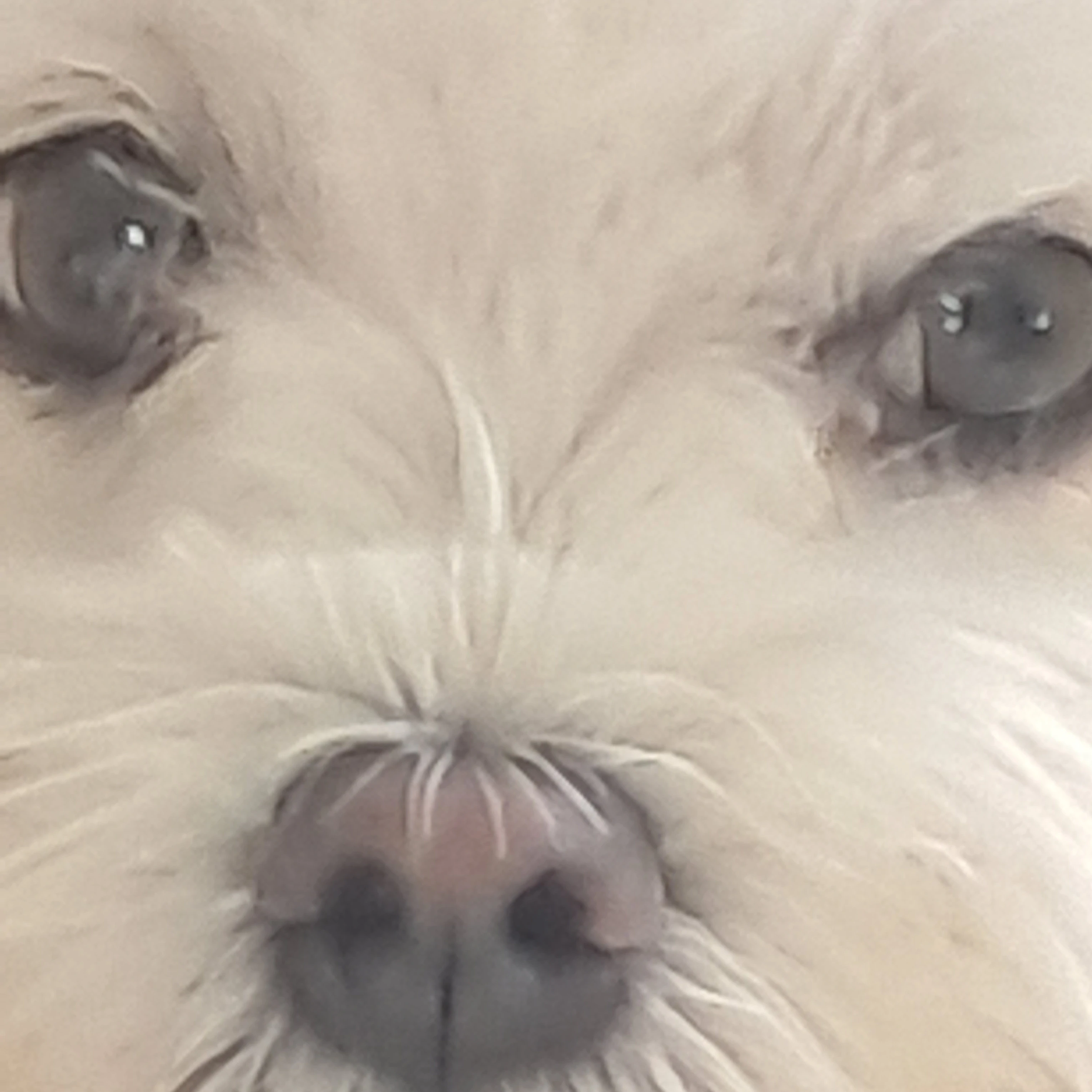 콬호🐶🐶🐶🐶🐶🐶🐶