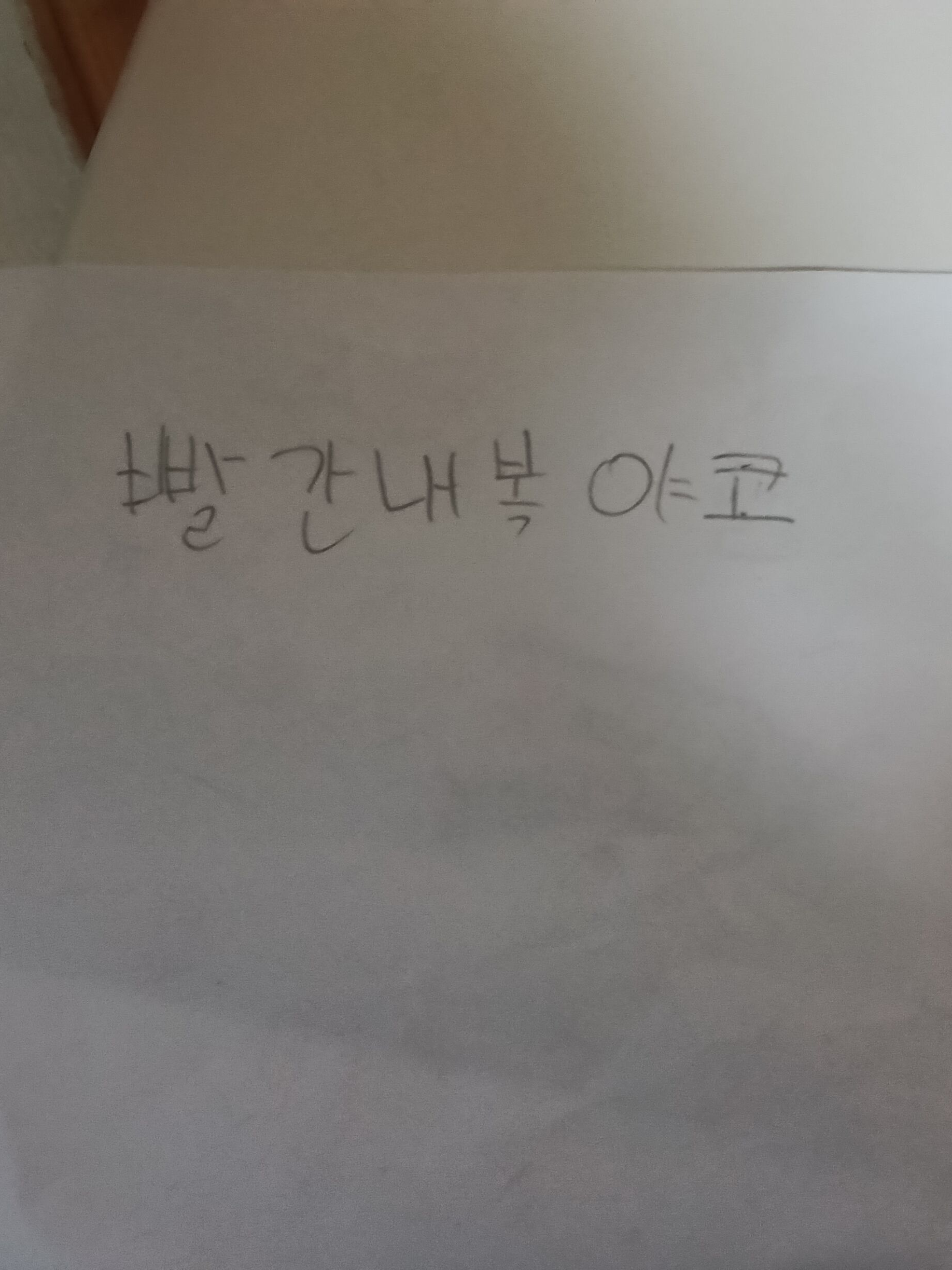 빨간내복야코,여우가 유저를 따라한다! 대표 이미지