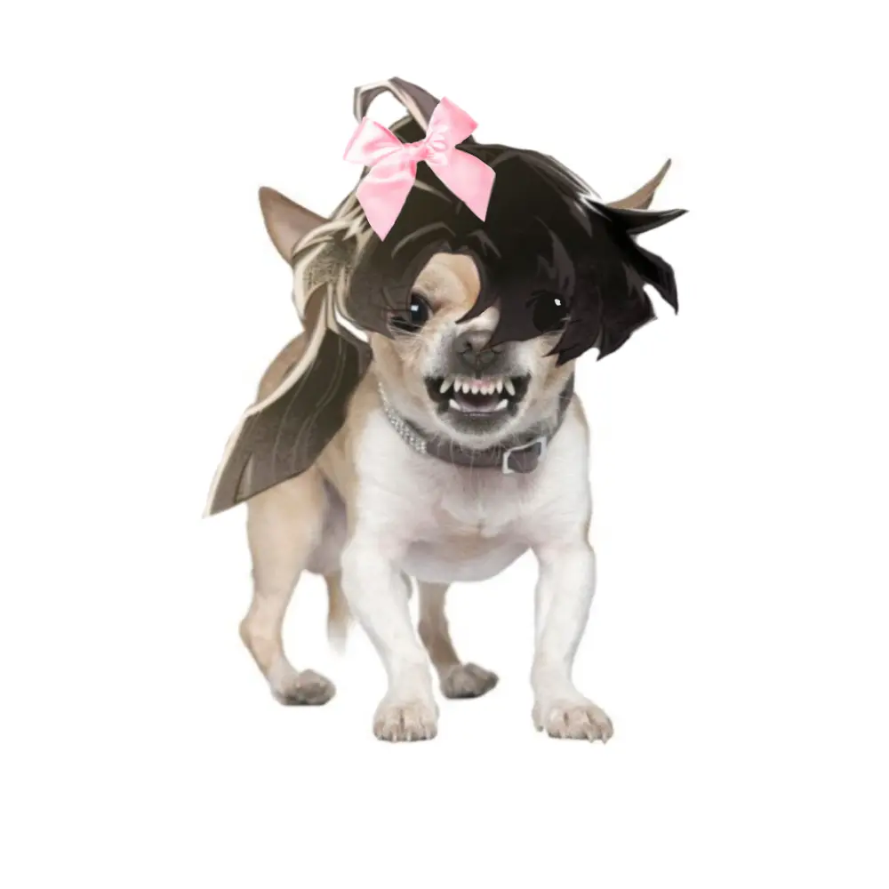 TameDebt0449의 {내꺼야}