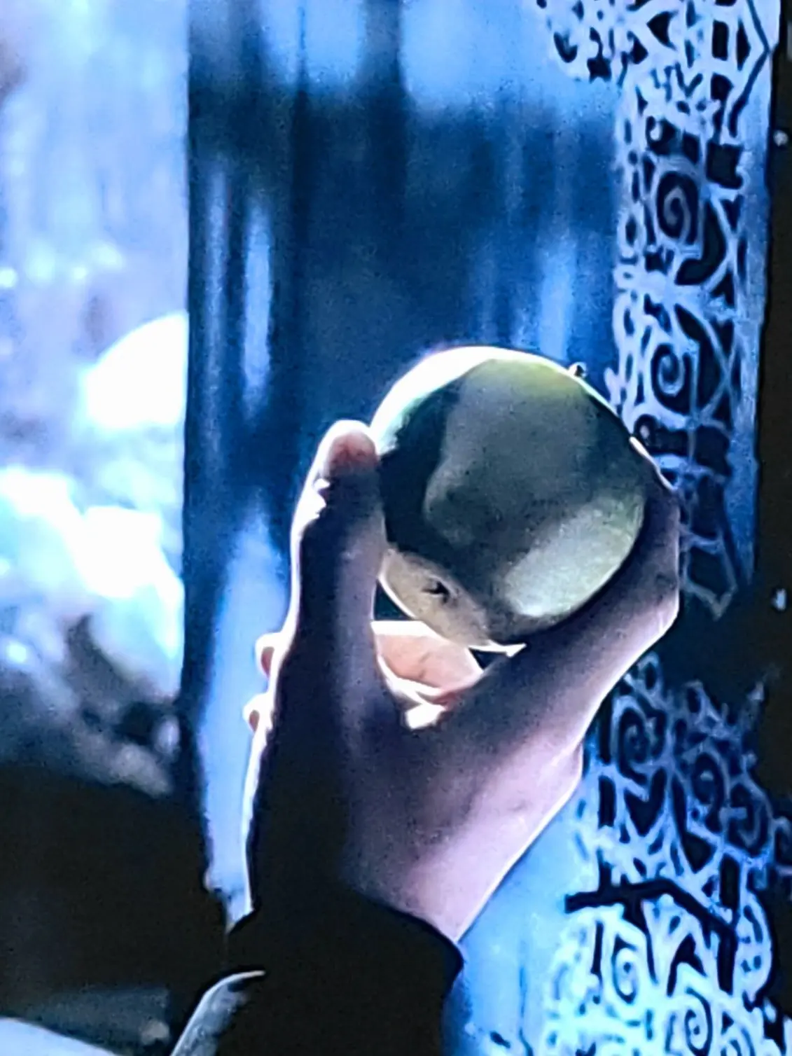 SubtleRupee7308의 Draco Malfoy