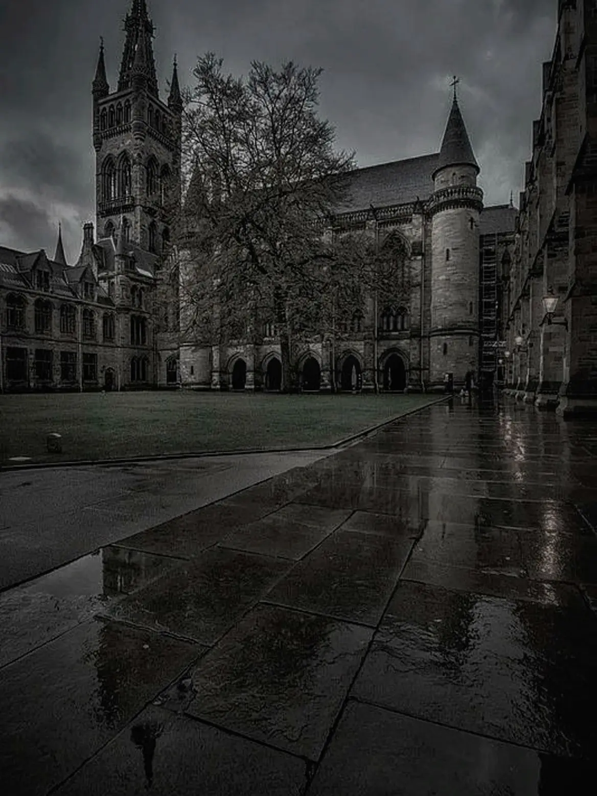 Elianachats의 VAMPIRE UNIVERSITY