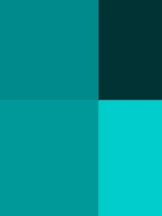 LavishBand7106의 名探偵コナン 100万ドルの五稜星