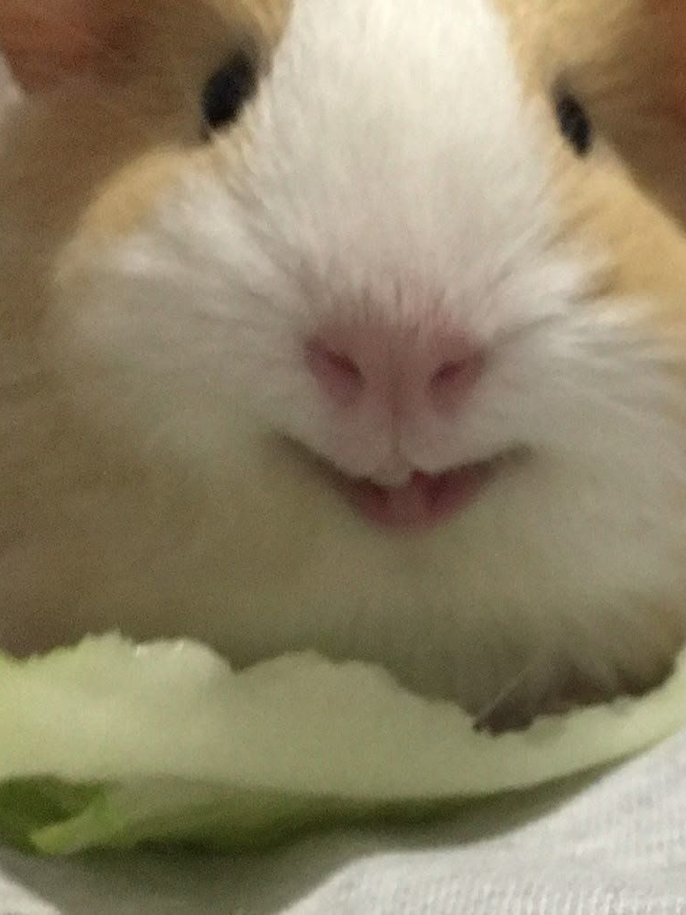 오시온 대표 이미지