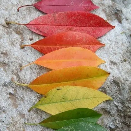 MeagerTorch1322의 쉿, 알려고하지마?ㅎ