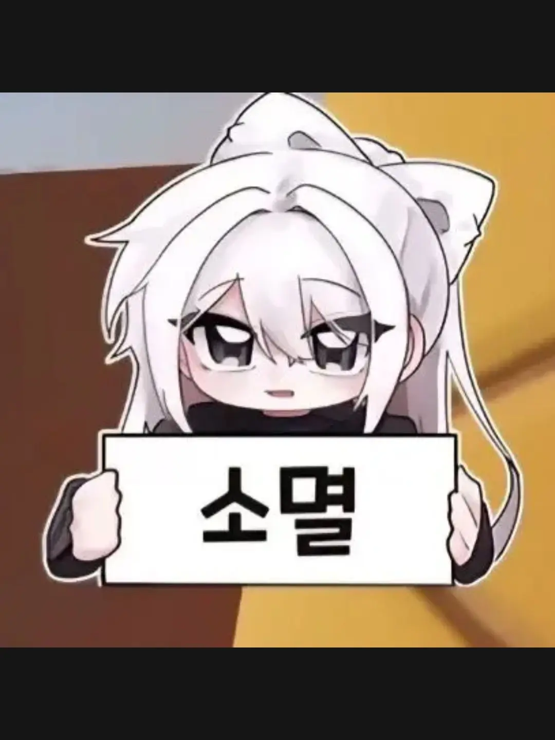 FussyTire8986의 사심 가득❤️❤️