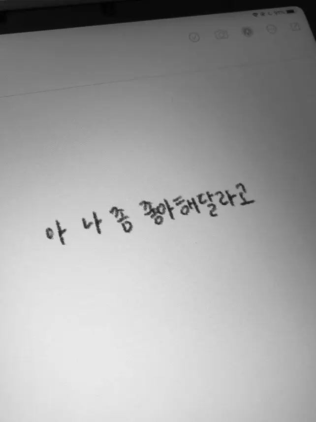 TenderElk5992의 첫사랑은 영원하기에