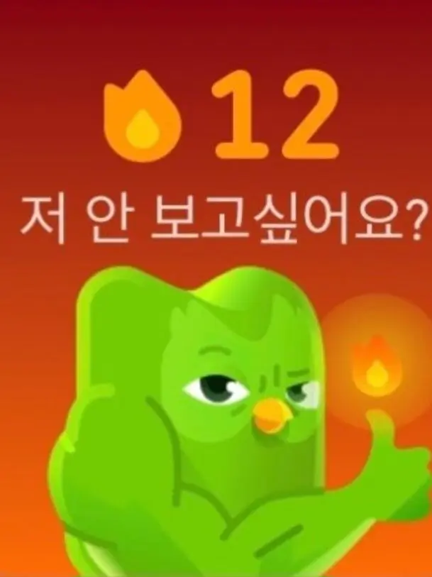 OutlawSnail2325의 듀오링고가 빡쳤당