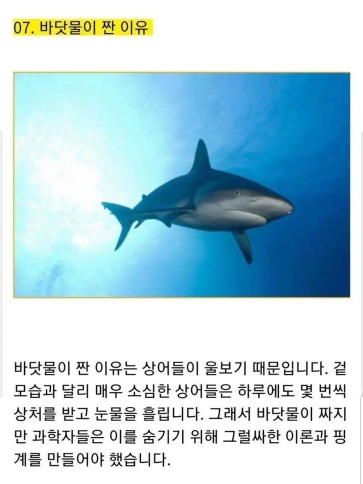 in_the_maze의 정신병동에서누가돌아왔게!