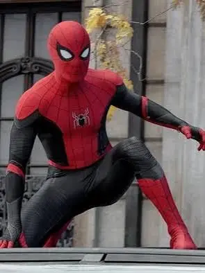 PoeticPhoto2361의 Spidey