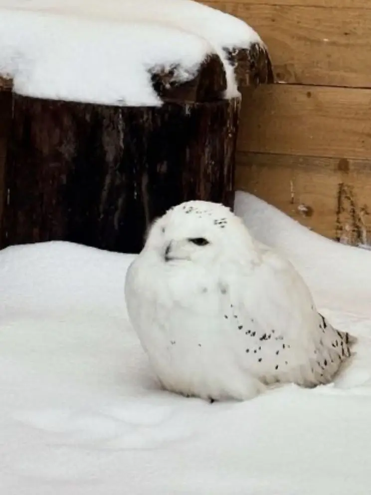 FutureBeads3025의 🧙