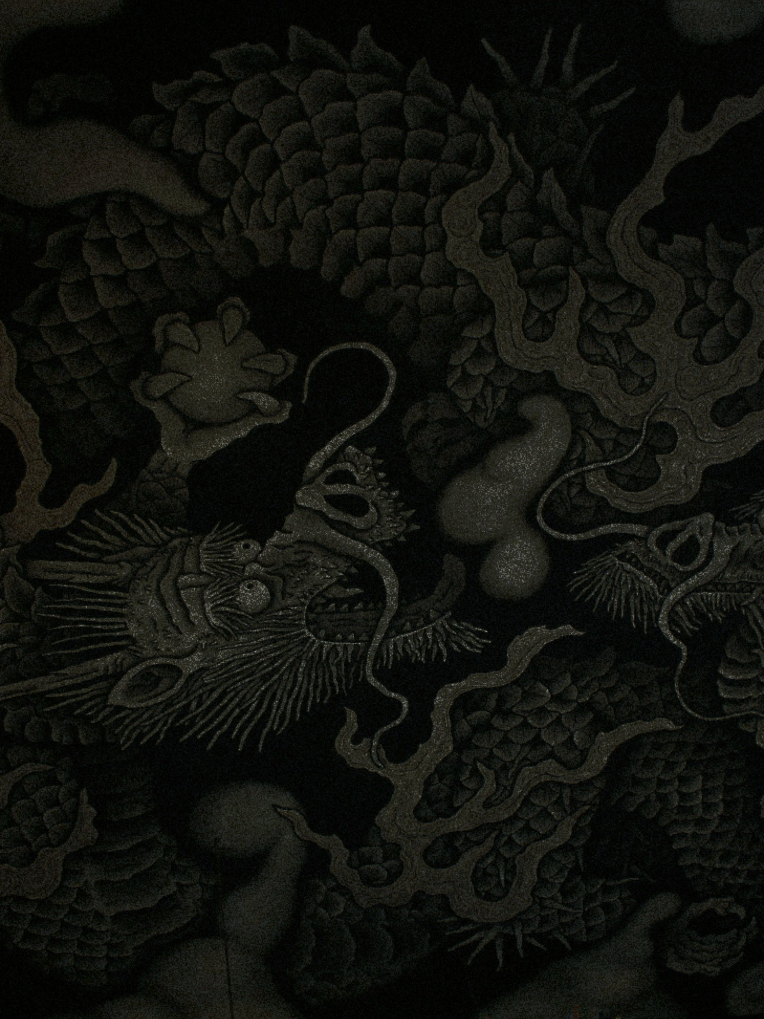 龍: 續 대표 이미지