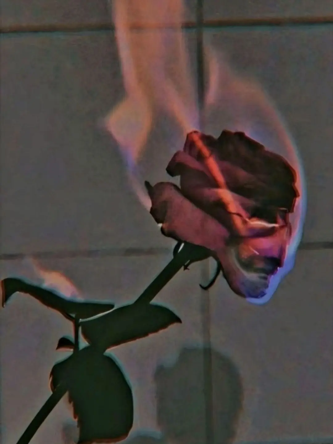 YJP의 필연이었을까, 악연이었을까