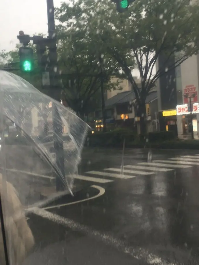 dx.ye1_의 전학생