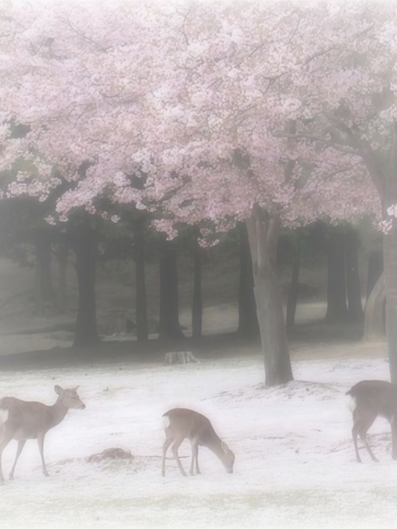 ☆彡.｡ 대표 이미지