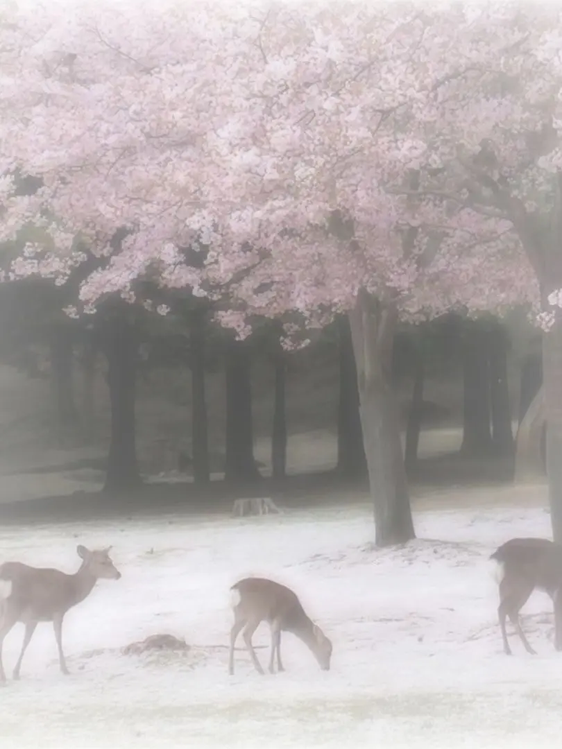 BABY_catchup의 ☆彡.｡