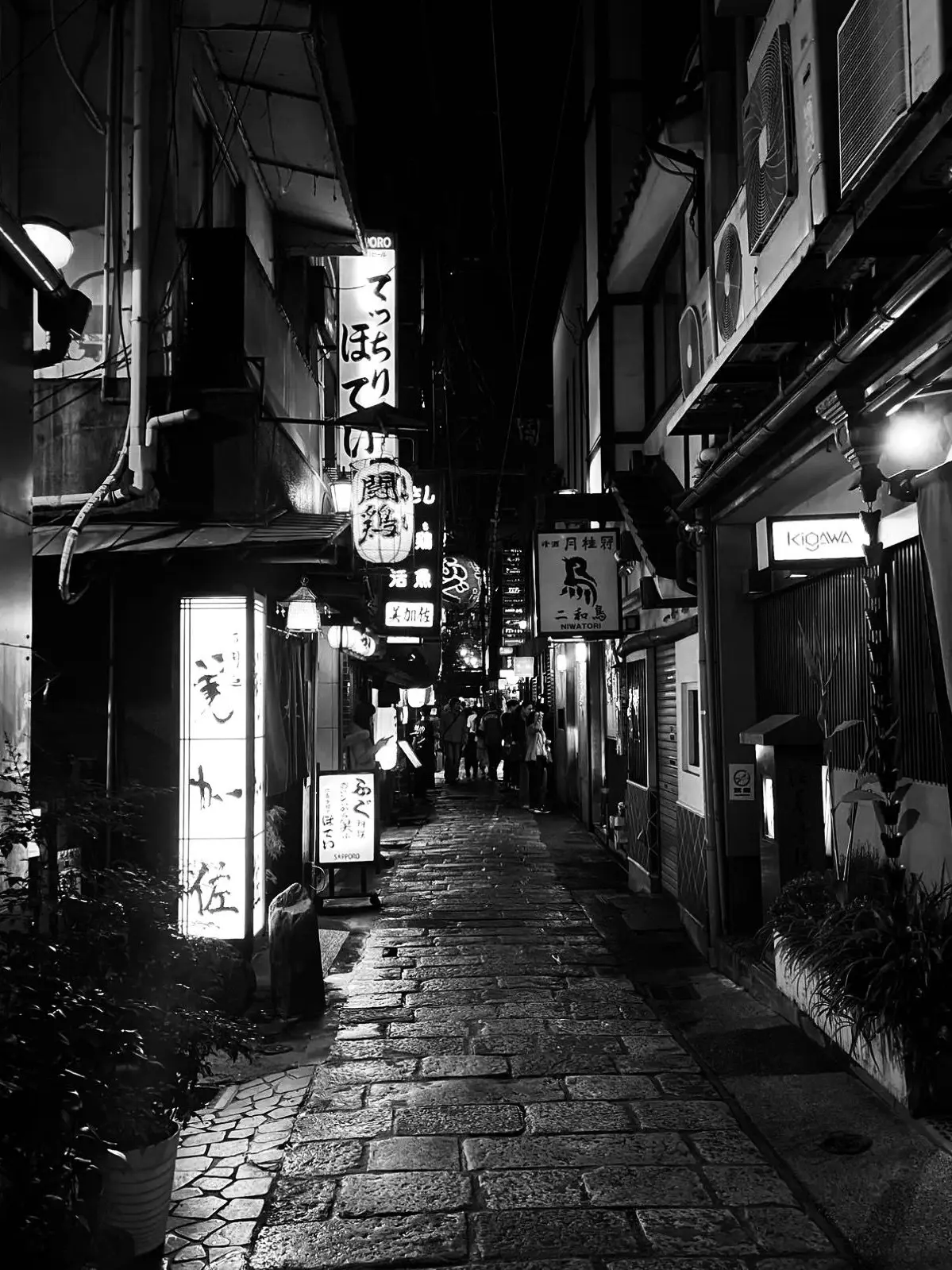 BiasedShell9390의 梵天