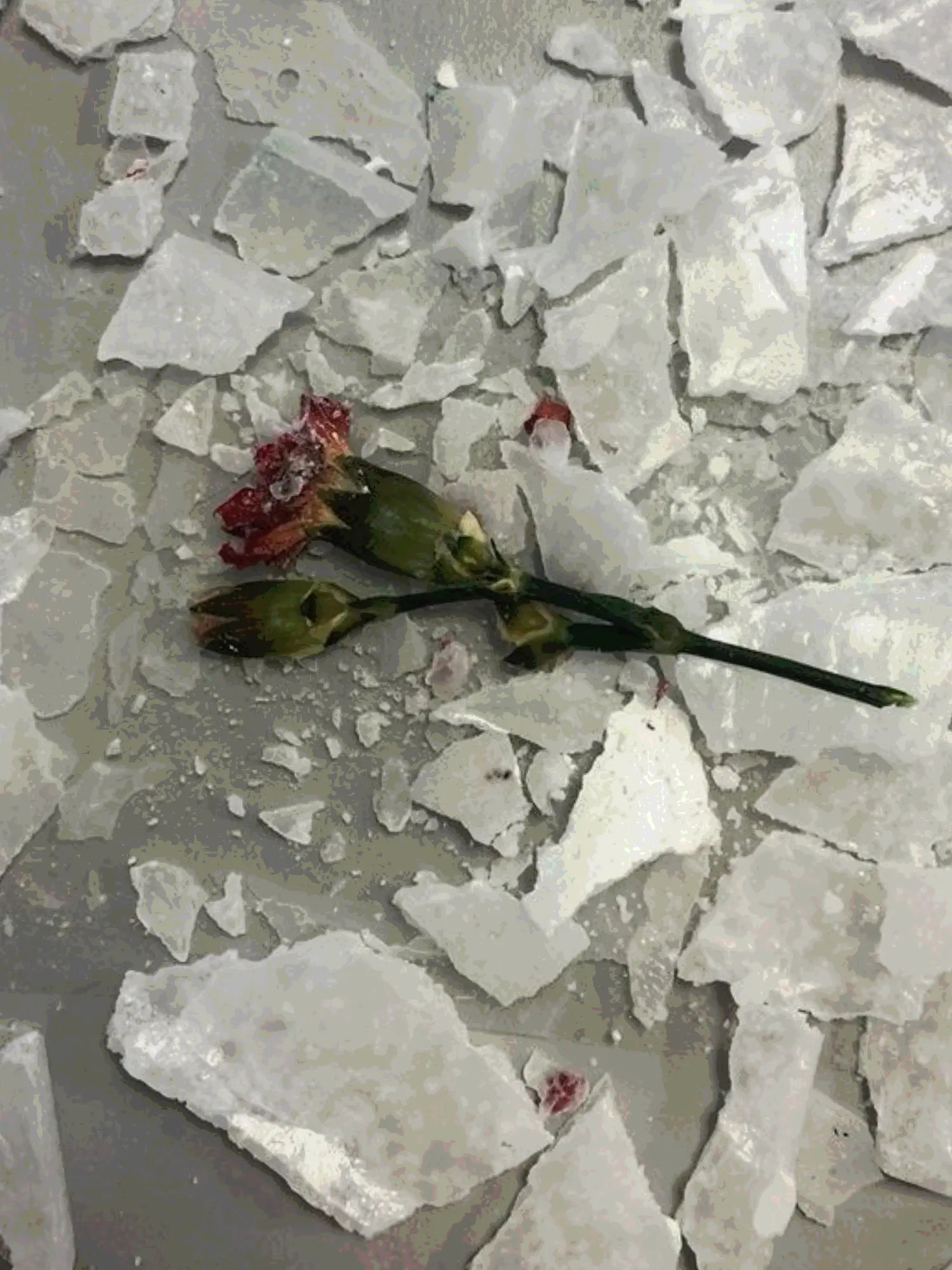 Handohun66의 [BL] 나 좋아하는 파트너 무시하기