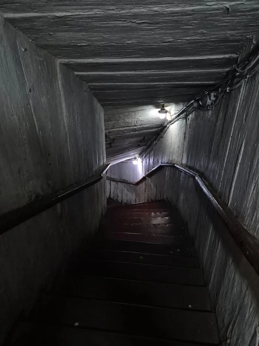 LiveState0608의 사일러스 리드