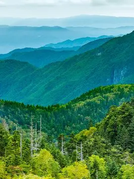 JovialShed0168의 自由