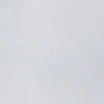 MintyDaug3394의 レオニダス王