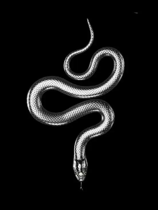 DistinctG7의 ☠︎𓆙☠︎