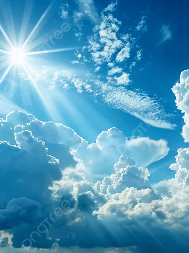 IdealDonor1720의 사일런트솔트 (+여우, 늑대)