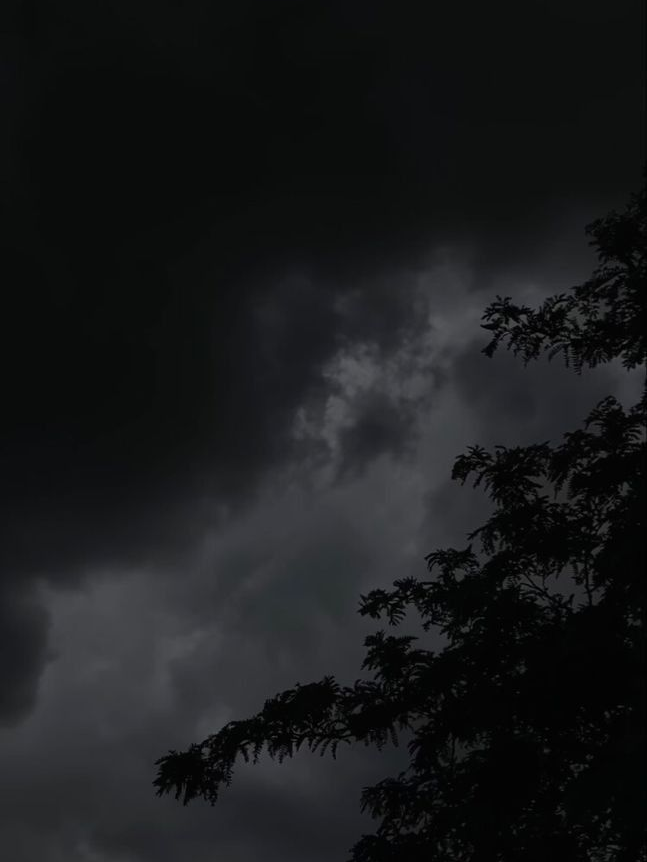 ㅤㅤㅤㅤ 대표 이미지