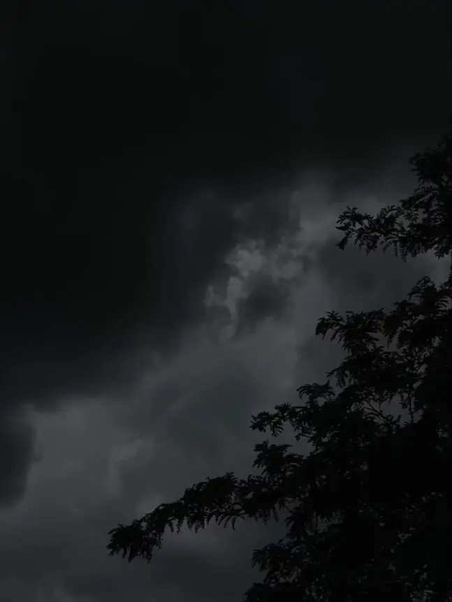 BiasedBeago8203의 ㅤㅤㅤㅤ