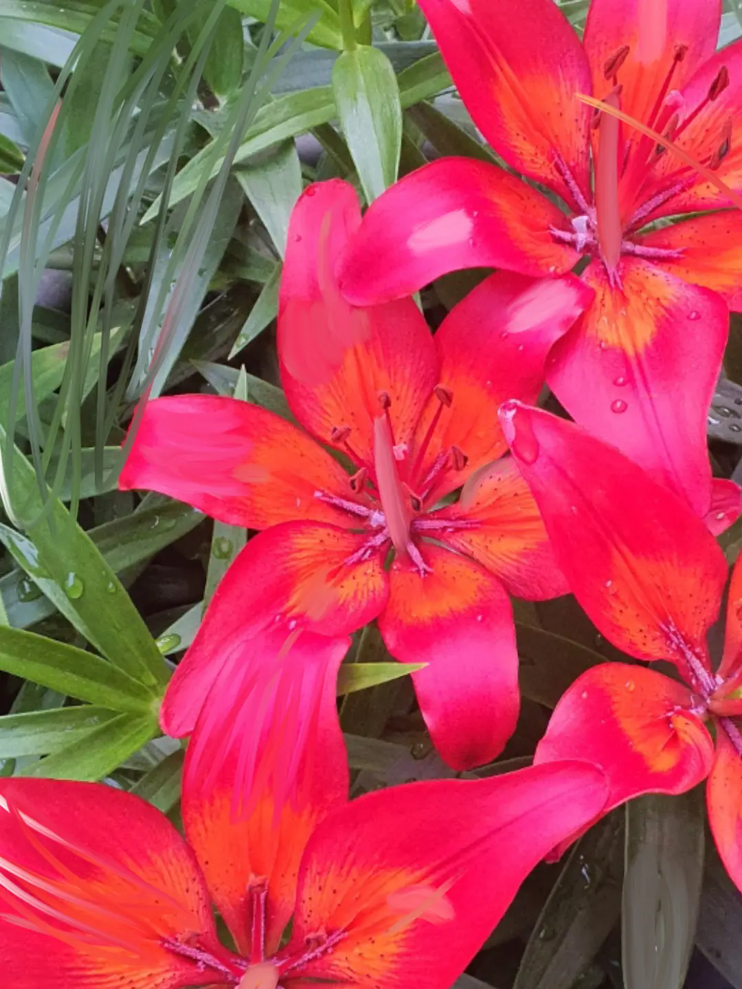 DryCity7576의 미수반2