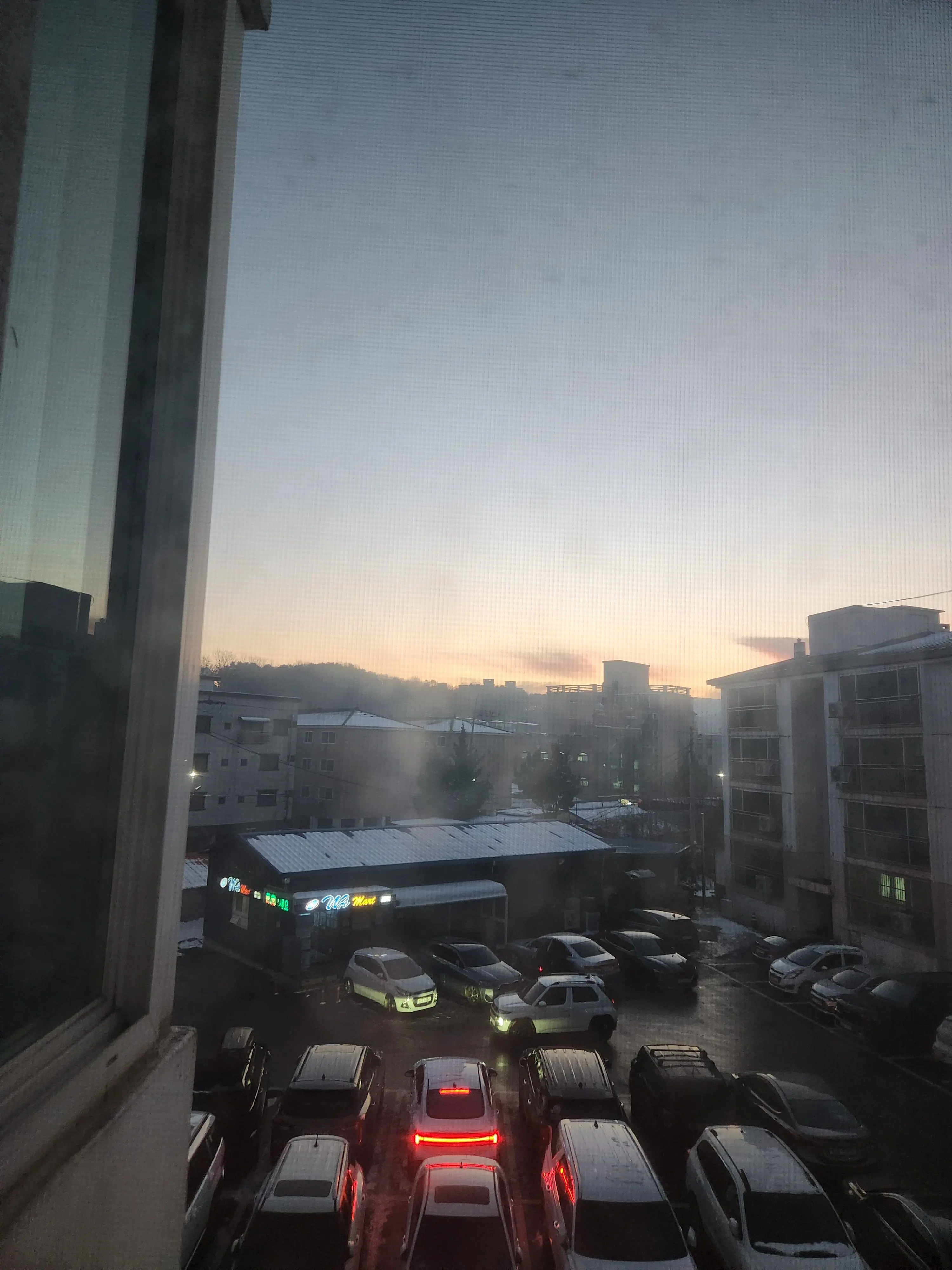 WavyTruck019의 가족바라기