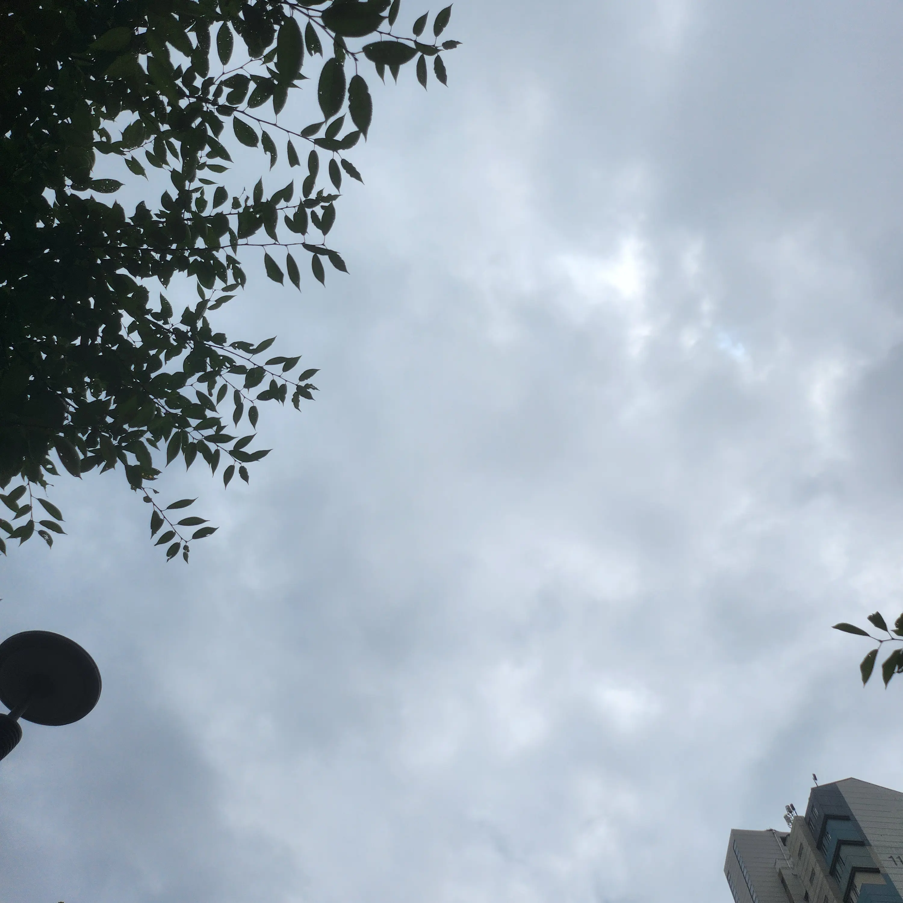 TealZorse0049의 난 오늘 죽을 운명 있였다.