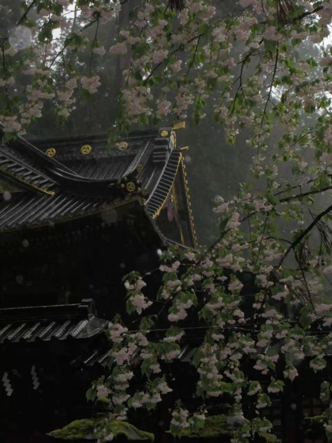 《흑수들의 주군으로 살아보기!》 대표 이미지