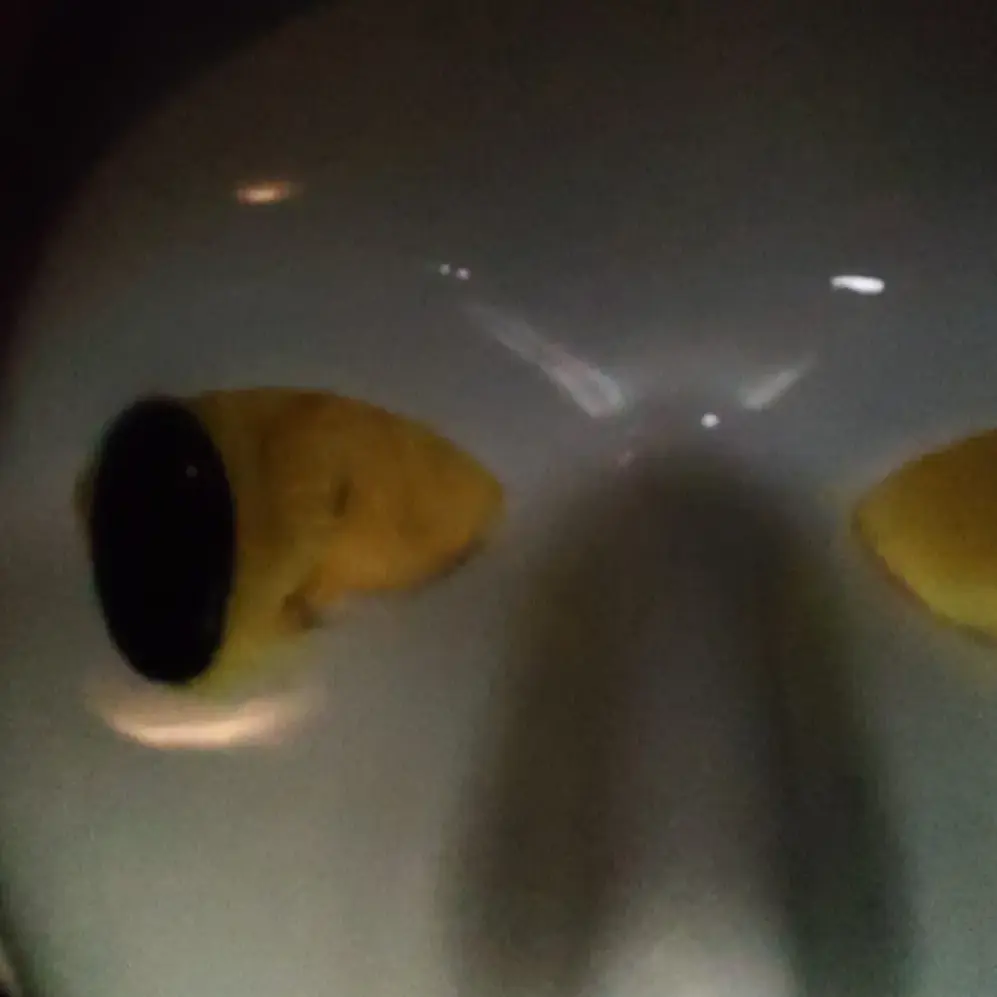 Sundao의 みんなでシェアハウス(使用禁止)