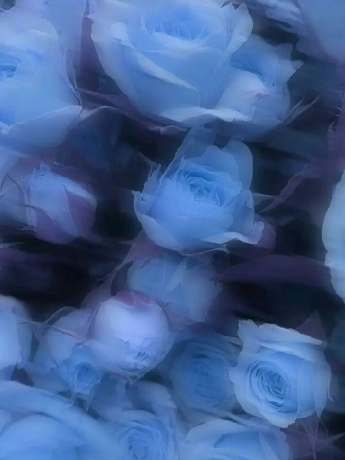 Mnn000의 JOY4ドルパロ