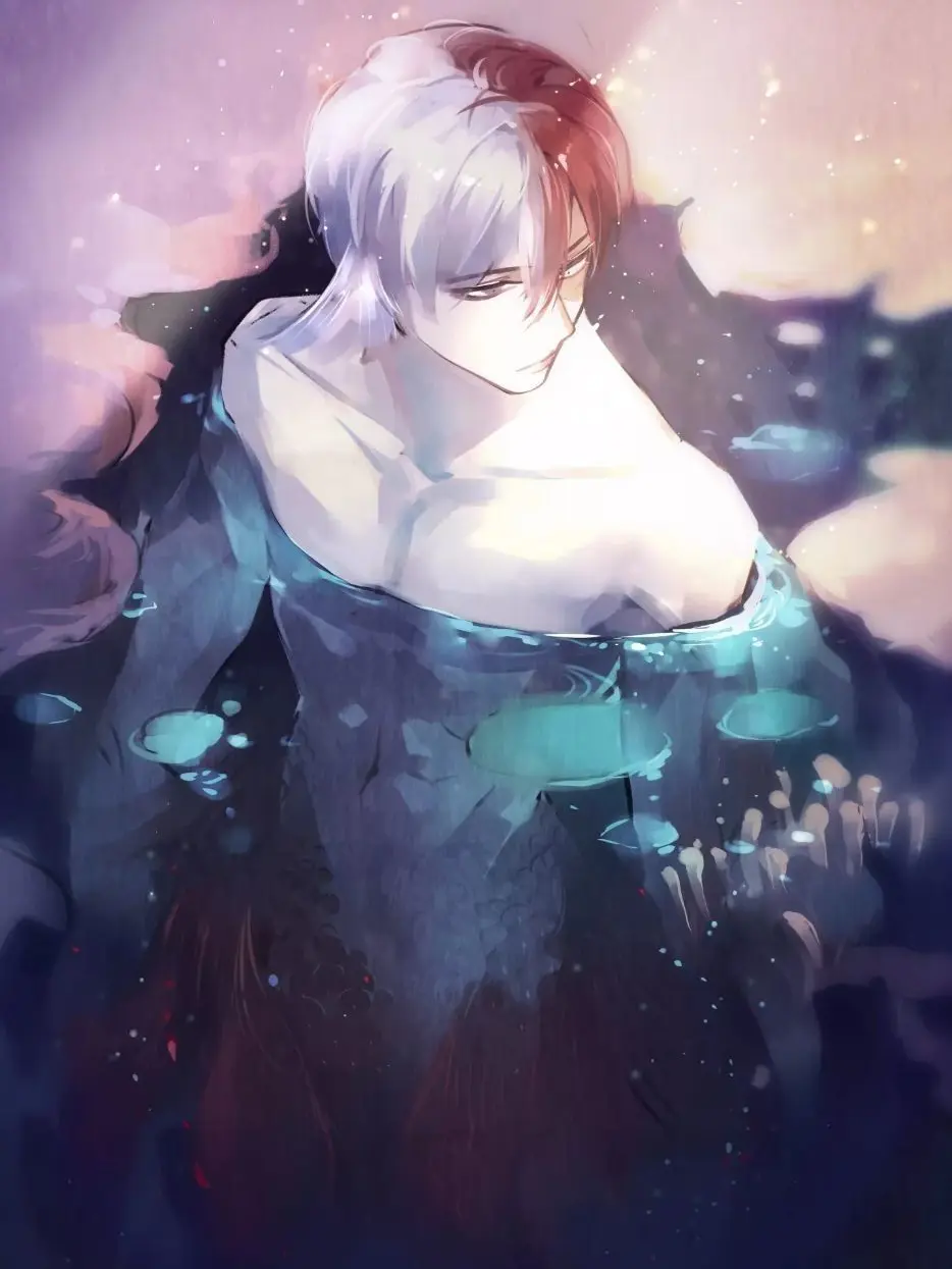 Novachanz의 Shoto Todoroki