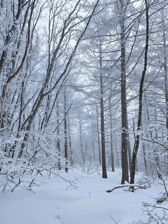 ❄️ 대표 이미지
