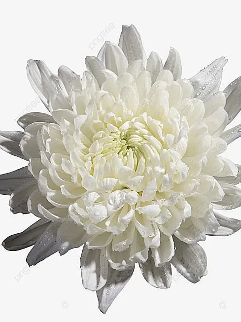 -.----의 너의 얼굴을 잊고 있어