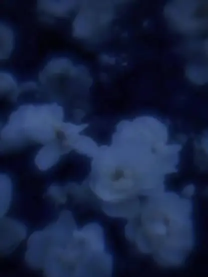 kugutu의 自分用。 ₛᵣhᵦ
