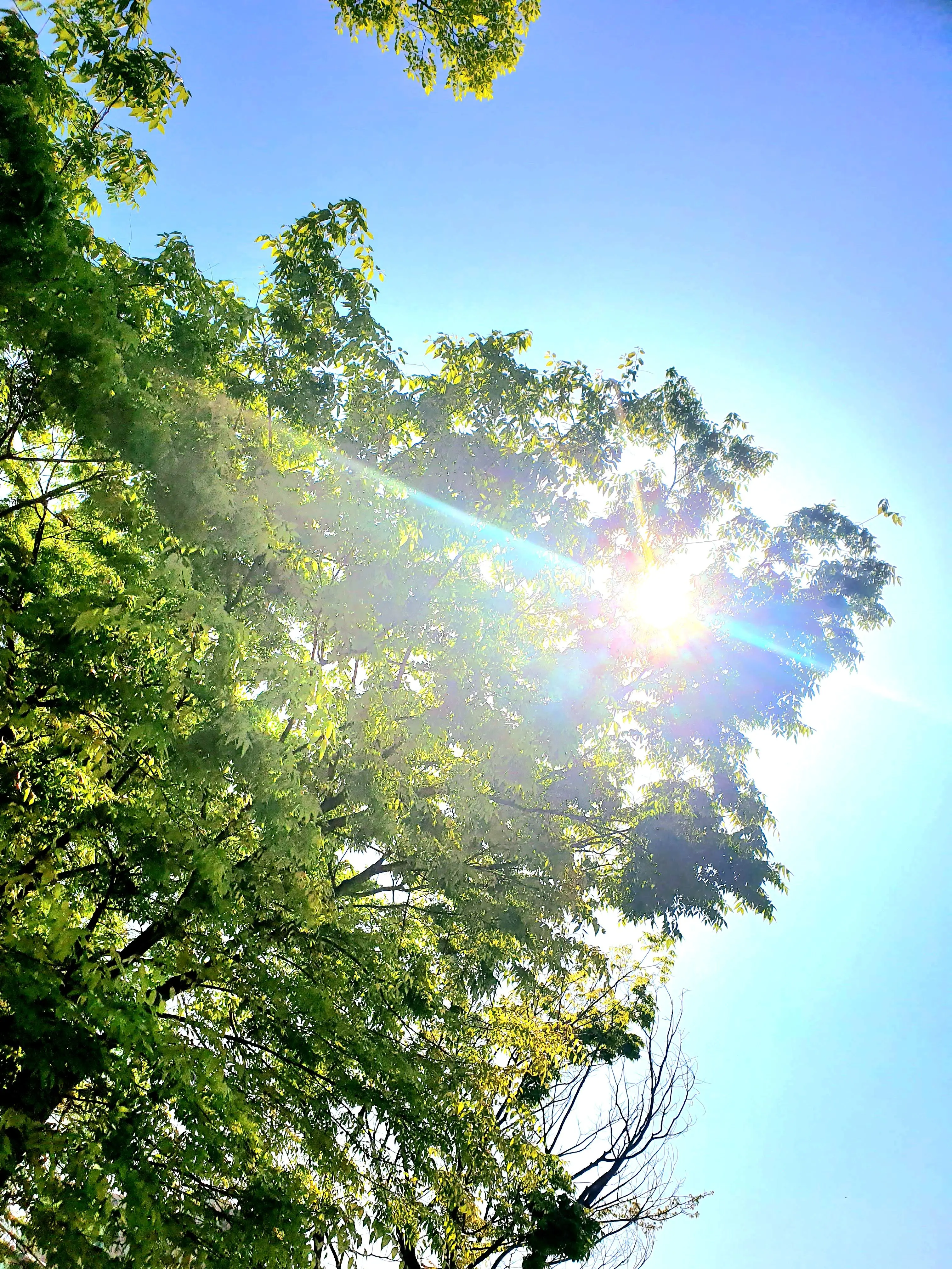 Ilovelimbus의 가끔은 술이 아니여도 좋을거같아요.