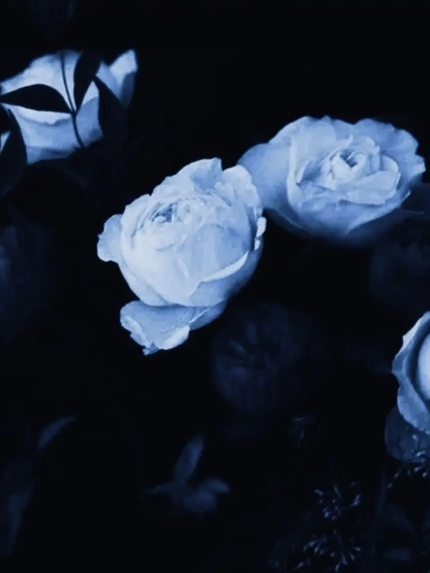 k_k_k_k_k_k_k_k의 55555_55555